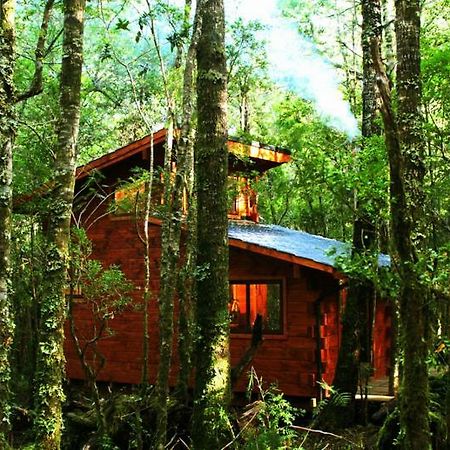 Cabanas Bosque Milenario Коньярипе Экстерьер фото