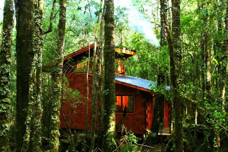 Cabanas Bosque Milenario Коньярипе Экстерьер фото