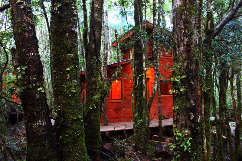 Cabanas Bosque Milenario Коньярипе Экстерьер фото